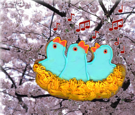 Spring Birds